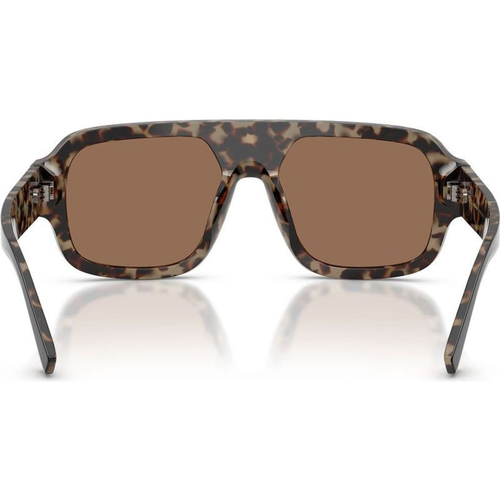 DG4516, Black on Red Havana/Dark Brown Lenses