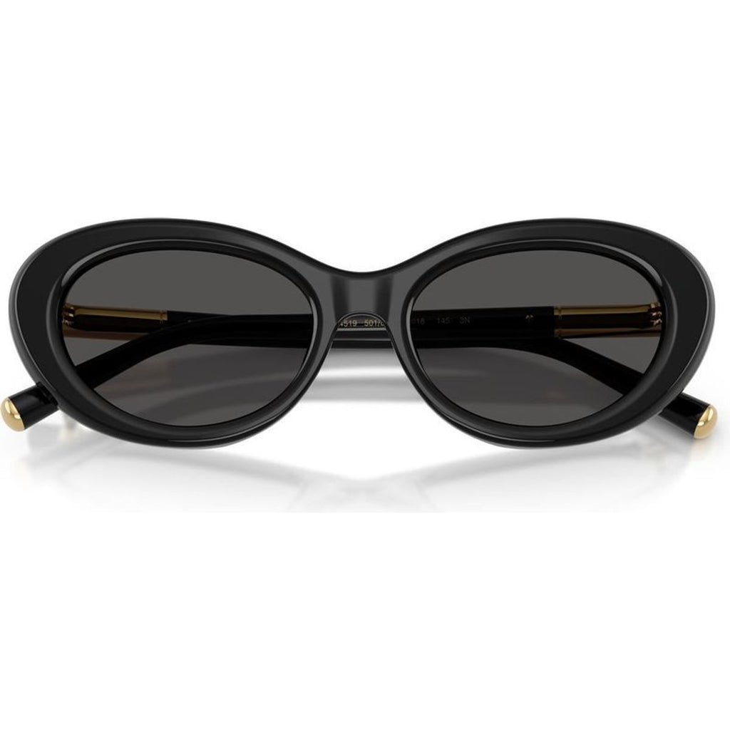 DG4519, Black/Dark Grey Lenses