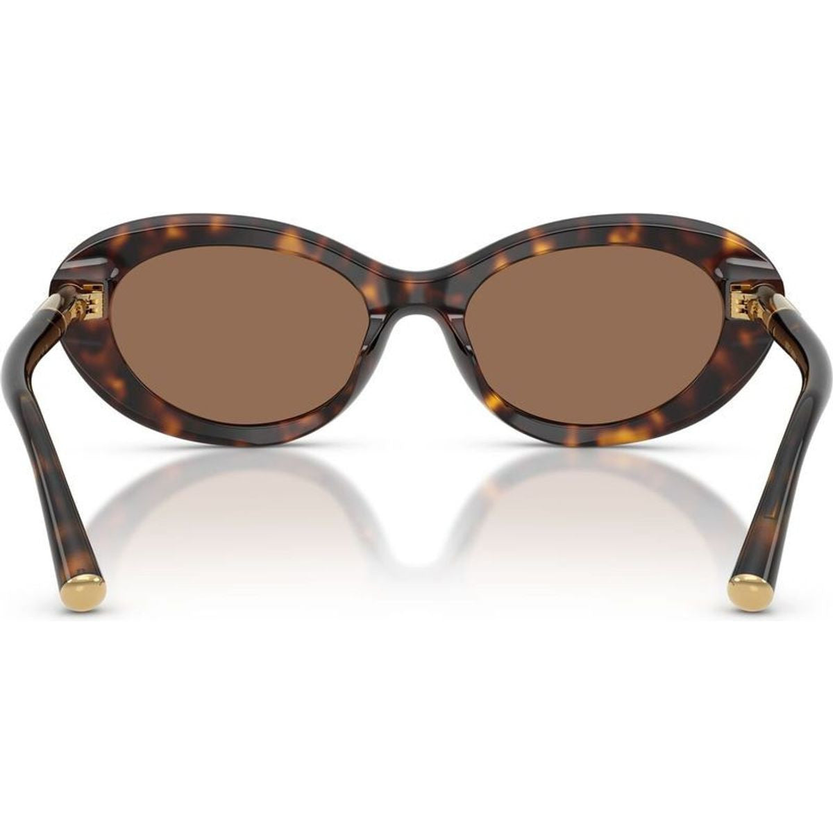 DG4519, Havana/Dark Brown Lenses