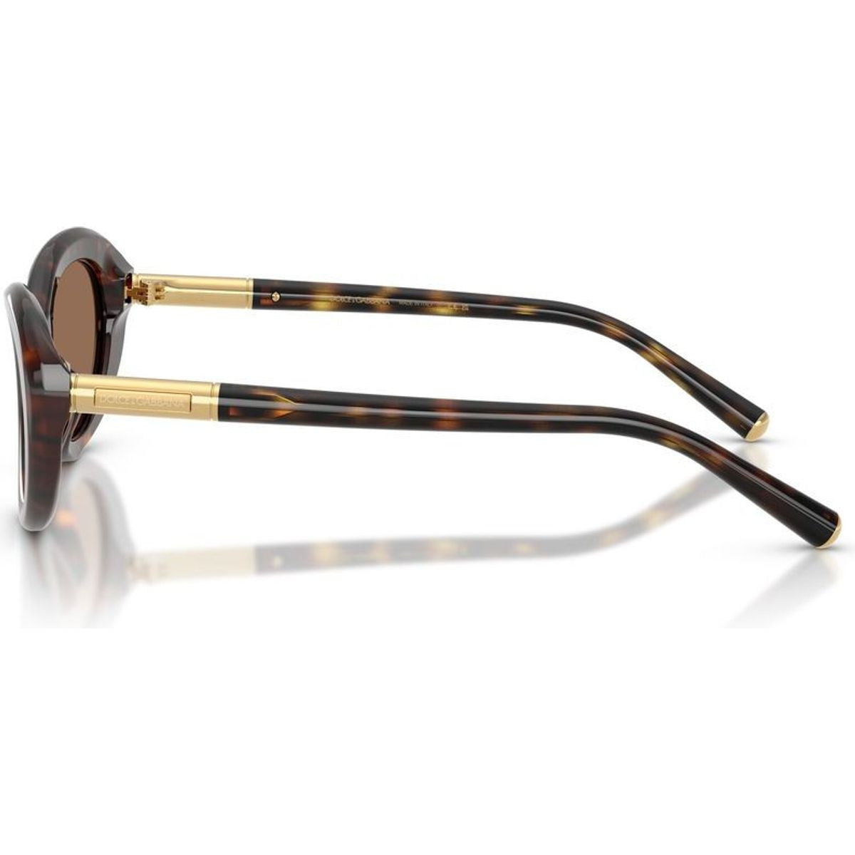 DG4519, Havana/Dark Brown Lenses