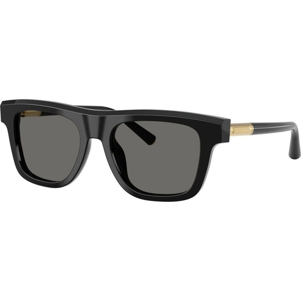 DG4521, Black/Grey Lenses