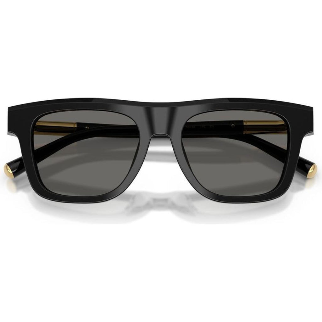 DG4521, Black/Grey Lenses