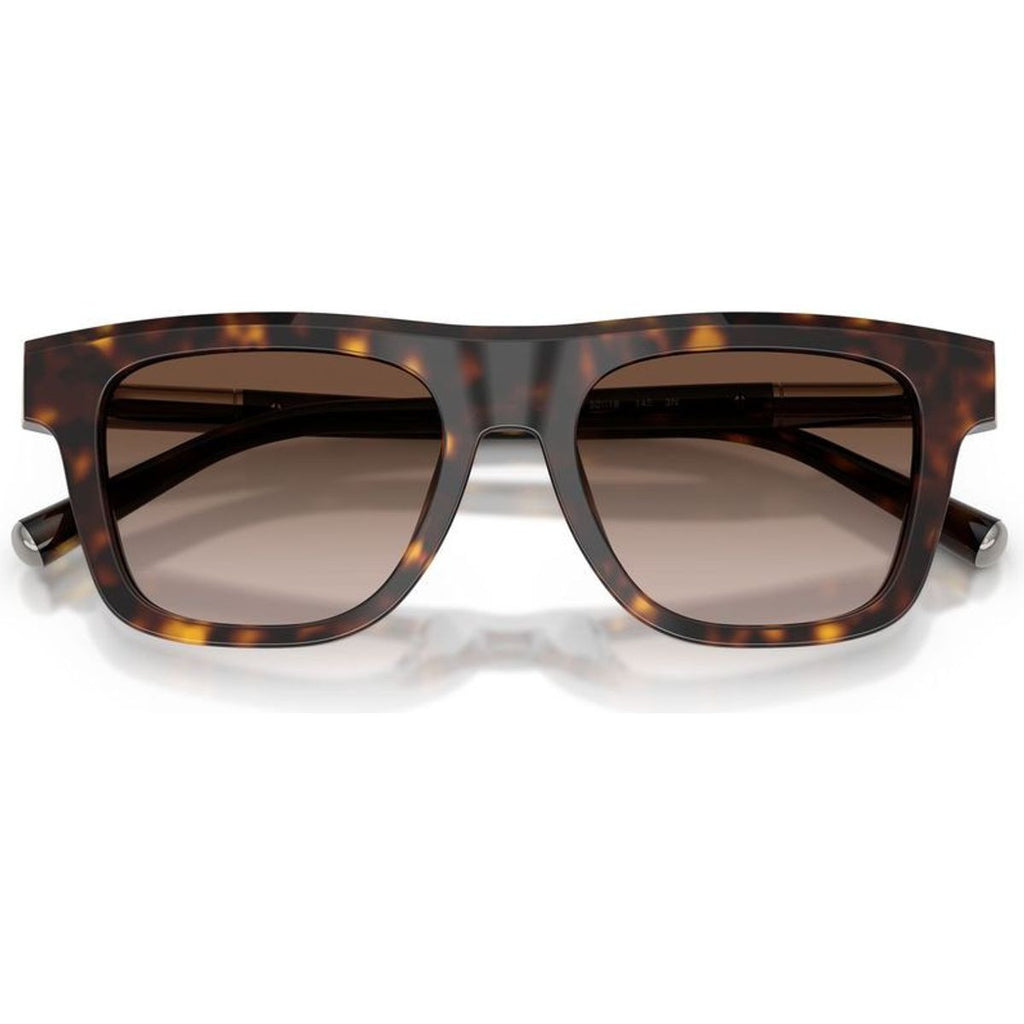 DG4521, Havana/Brown Gradient Lenses
