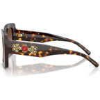 DG4525B, Havana/Brown Gradient Lenses