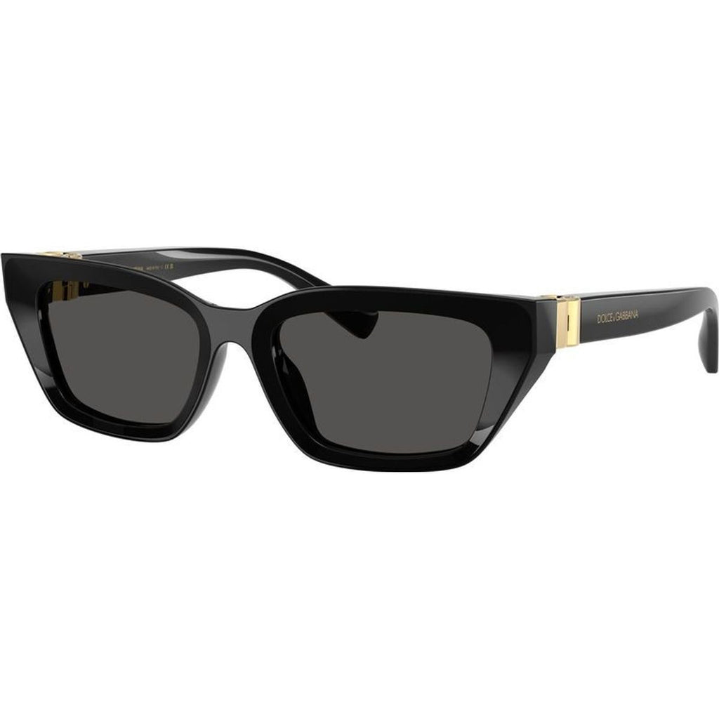 DG4532, Black/Dark Grey Lenses