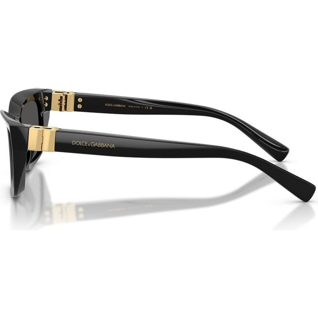 DG4532, Black/Dark Grey Lenses