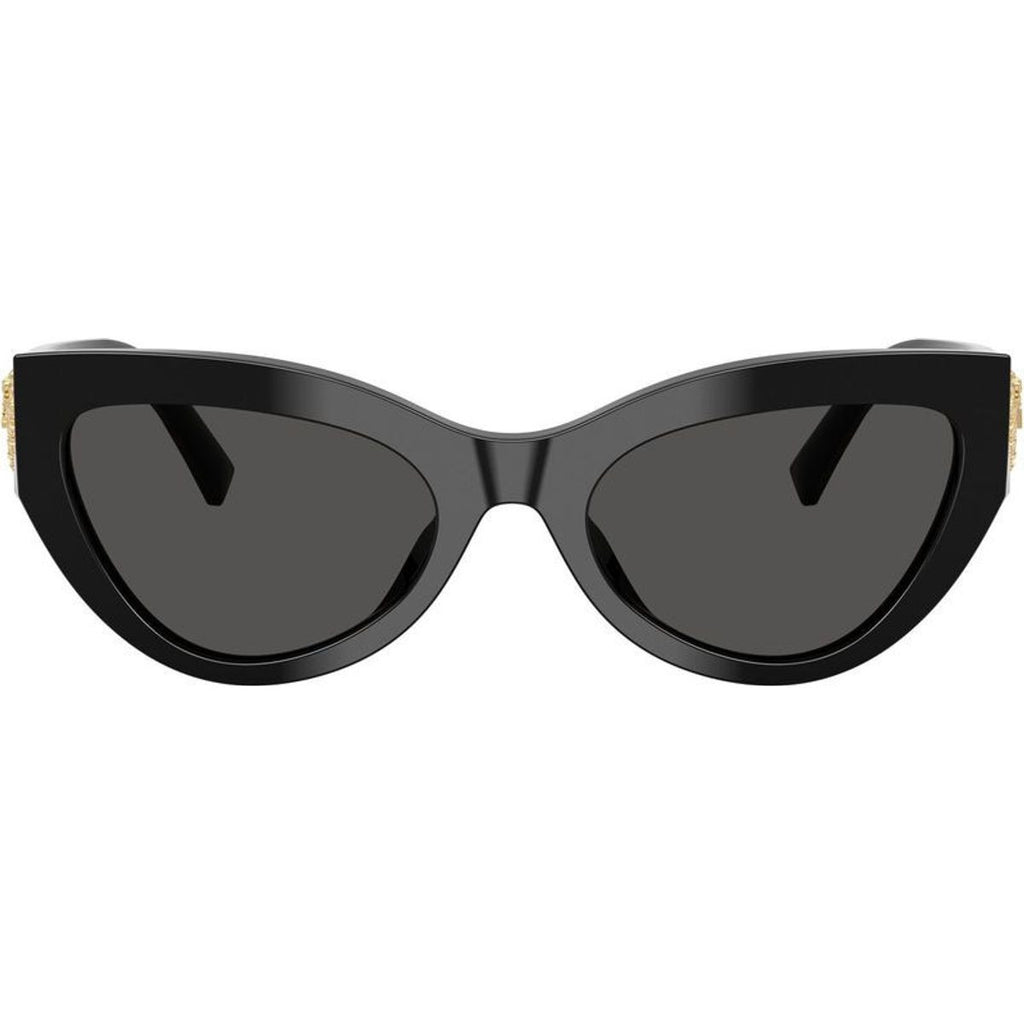 DG4536, Black/Dark Grey Lenses