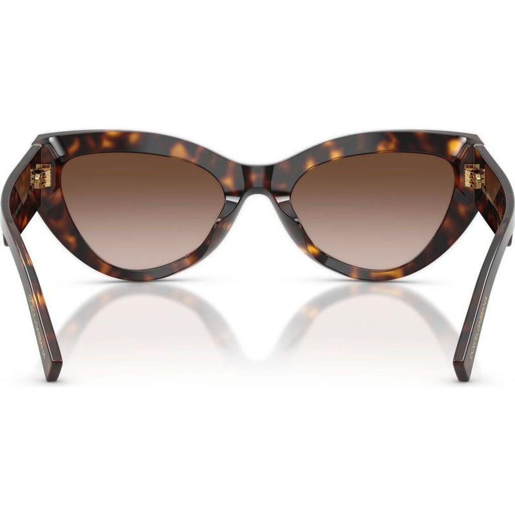 DG4536, Havana/Brown Gradient Lenses
