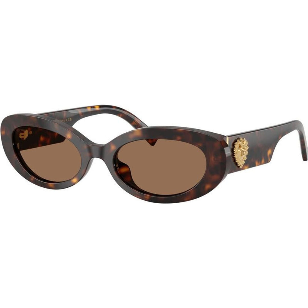 DG4537, Havana/Dark Brown Lenses