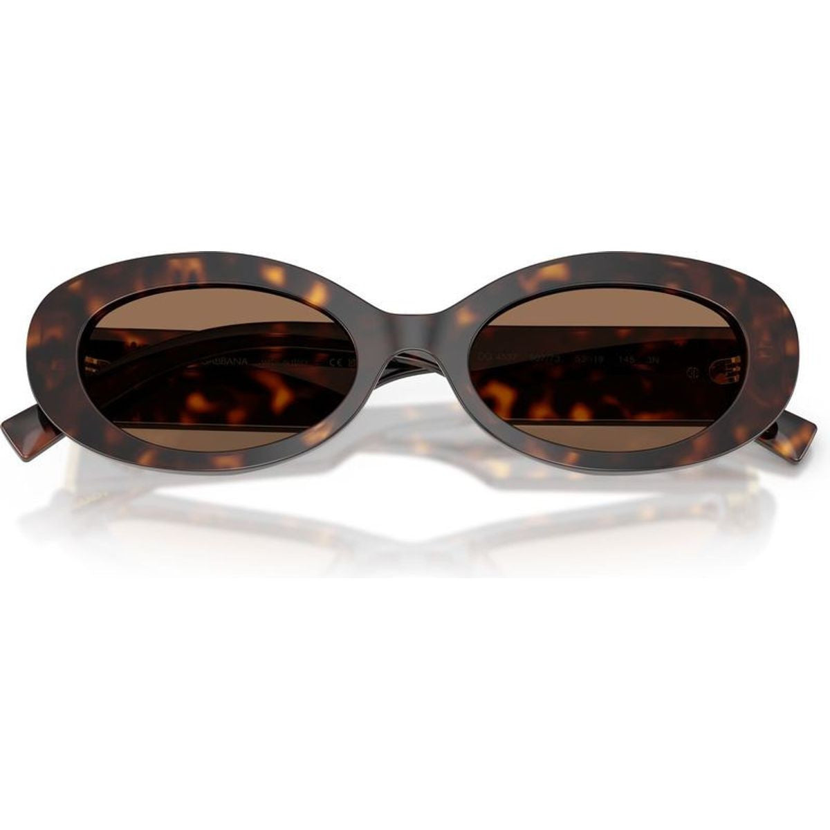 DG4537, Havana/Dark Brown Lenses