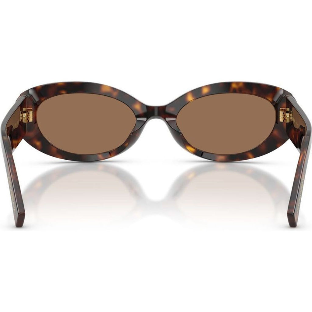 DG4537, Havana/Dark Brown Lenses