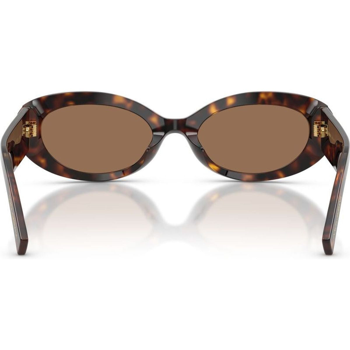 DG4537, Havana/Dark Brown Lenses