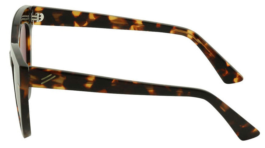 Echo, Toffee Tort/Brown Polarised lenses