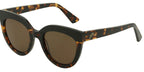 Echo, Toffee Tort/Brown Polarised lenses