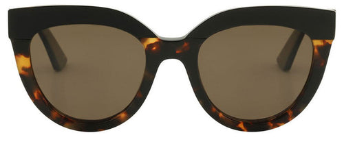 Echo, Toffee Tort/Brown Polarised lenses