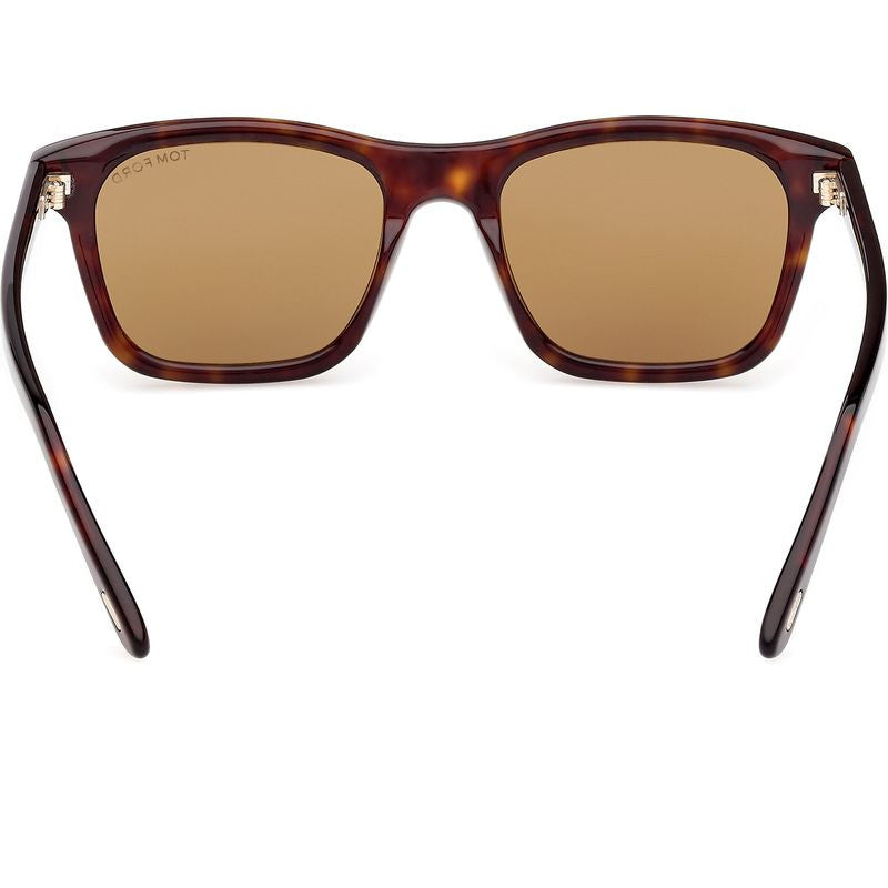 Barron FT1179, Dark Havana/Brown Lenses
