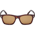 Barron FT1179, Dark Havana/Brown Lenses