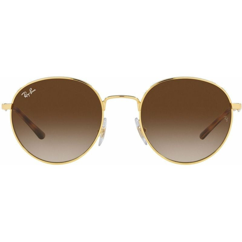RB3681, Arista/Brown Gradient Lenses