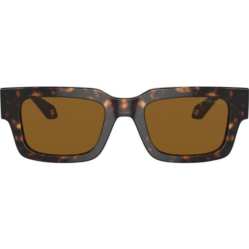AR8184U, Havana/Brown Glass Lenses