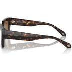 AR8184U, Havana/Brown Glass Lenses