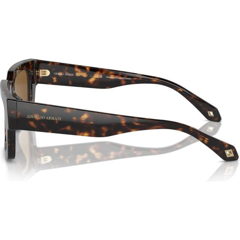 AR8184U, Havana/Brown Glass Lenses
