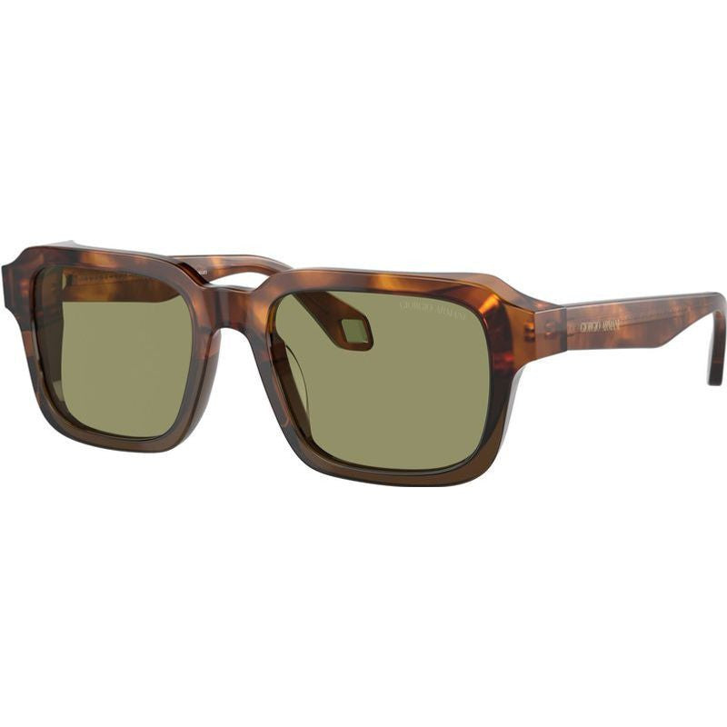 AR8194U, Red Havana and Opaline Olive/Green Glass Lenses