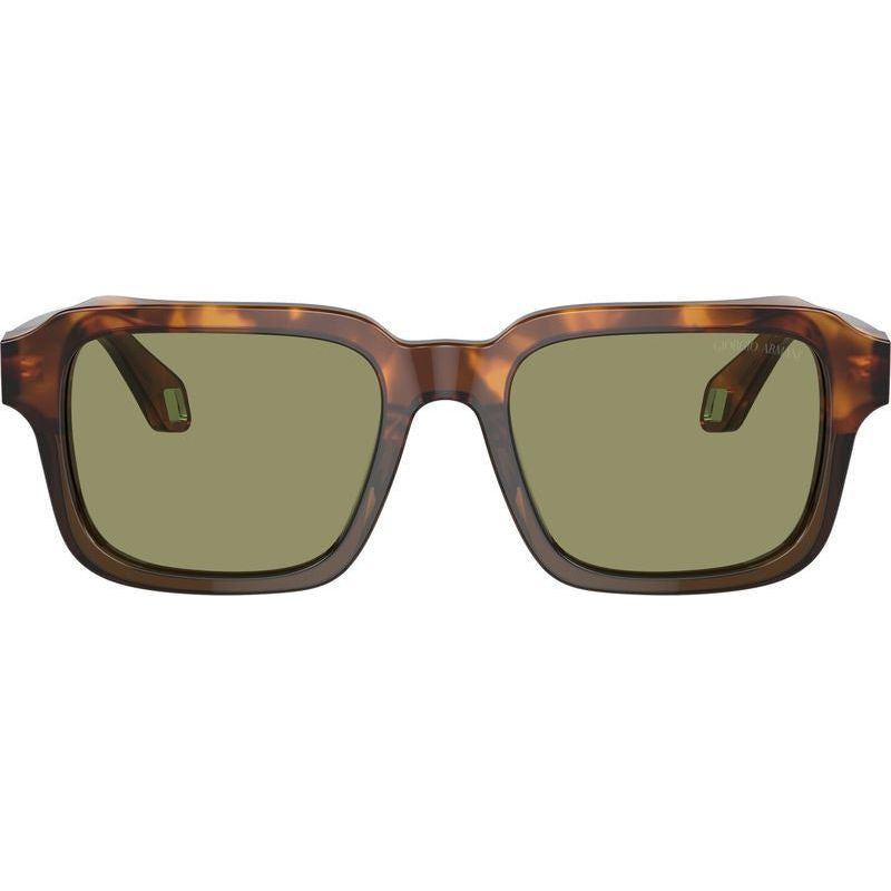 AR8194U, Red Havana and Opaline Olive/Green Glass Lenses