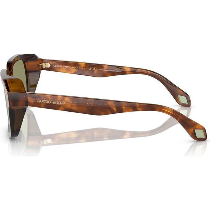 AR8194U, Red Havana and Opaline Olive/Green Glass Lenses