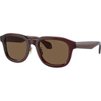 AR8206, Transparent Brown/Dark Brown Lenses