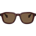 AR8206, Transparent Brown/Dark Brown Lenses
