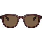 AR8206, Transparent Brown/Dark Brown Lenses