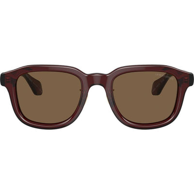 AR8206, Transparent Brown/Dark Brown Lenses