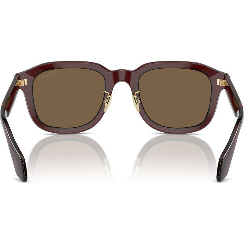 AR8206, Transparent Brown/Dark Brown Lenses
