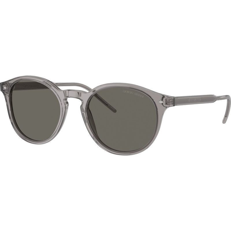 AR8211F, Transparent Grey/Grey Glass Lenses