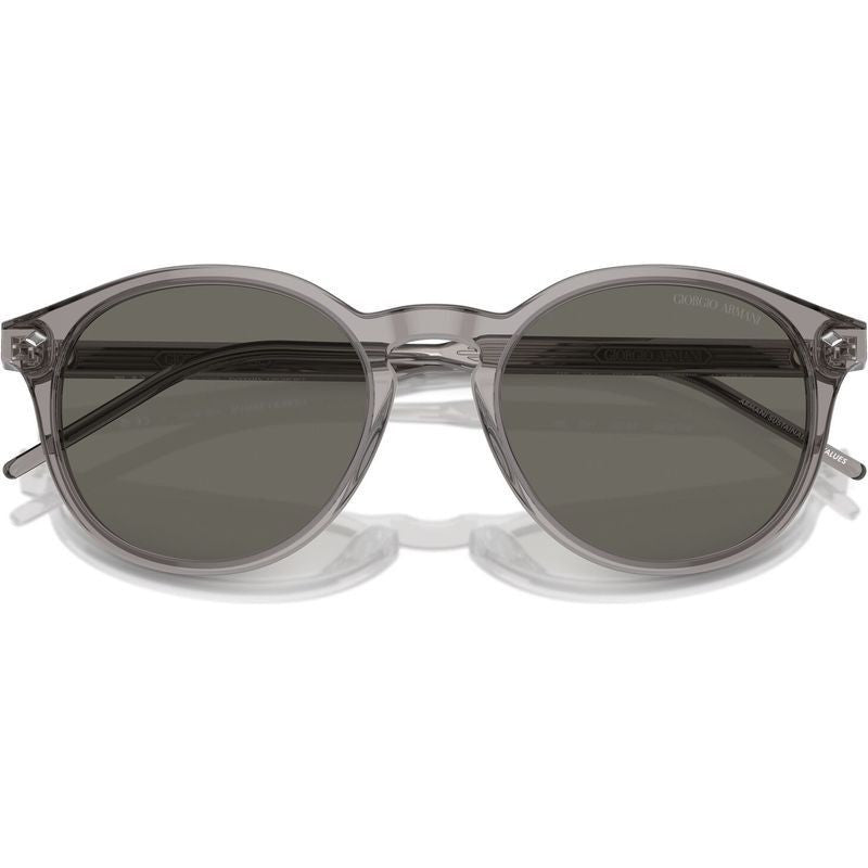 AR8211F, Transparent Grey/Grey Glass Lenses
