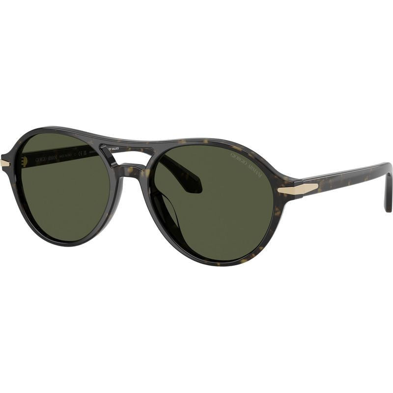 AR8236U, Green Havana/Green Glass Lenses