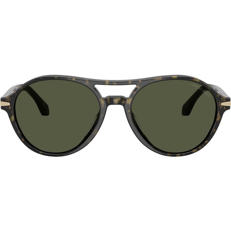AR8236U, Green Havana/Green Glass Lenses