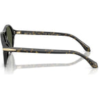AR8236U, Green Havana/Green Glass Lenses