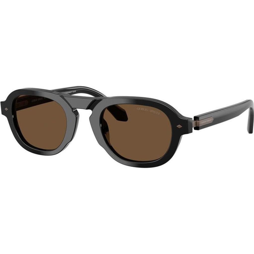 AR8244F, Black/Dark Brown Glass Lenses