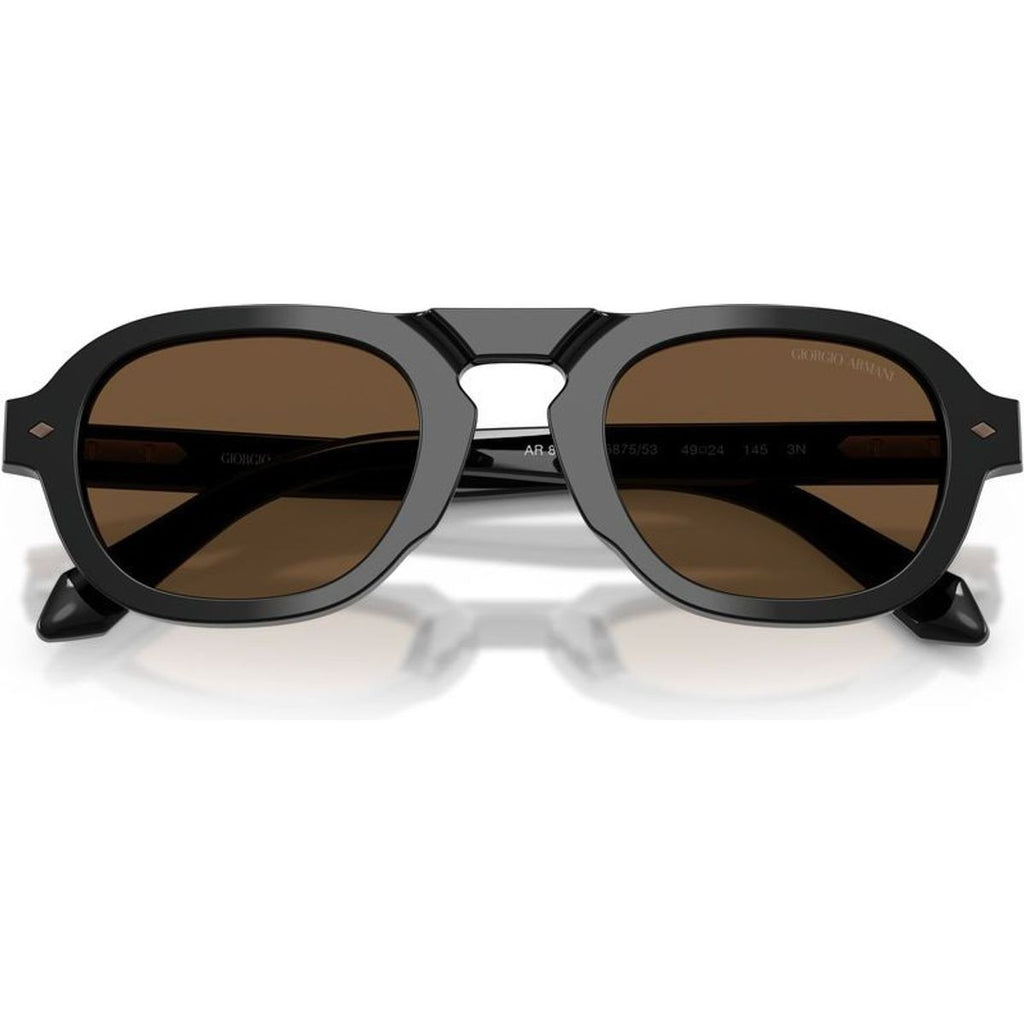 AR8244F, Black/Dark Brown Glass Lenses
