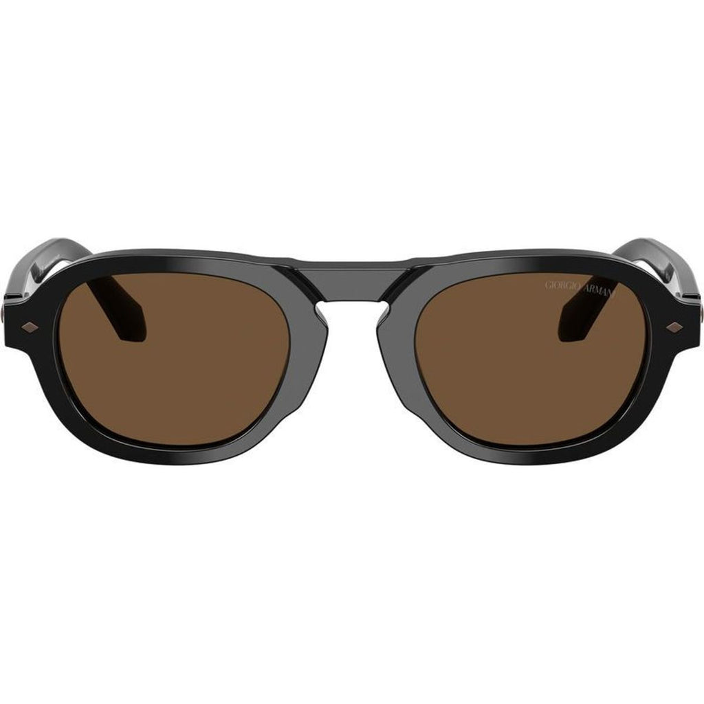 AR8244F, Black/Dark Brown Glass Lenses