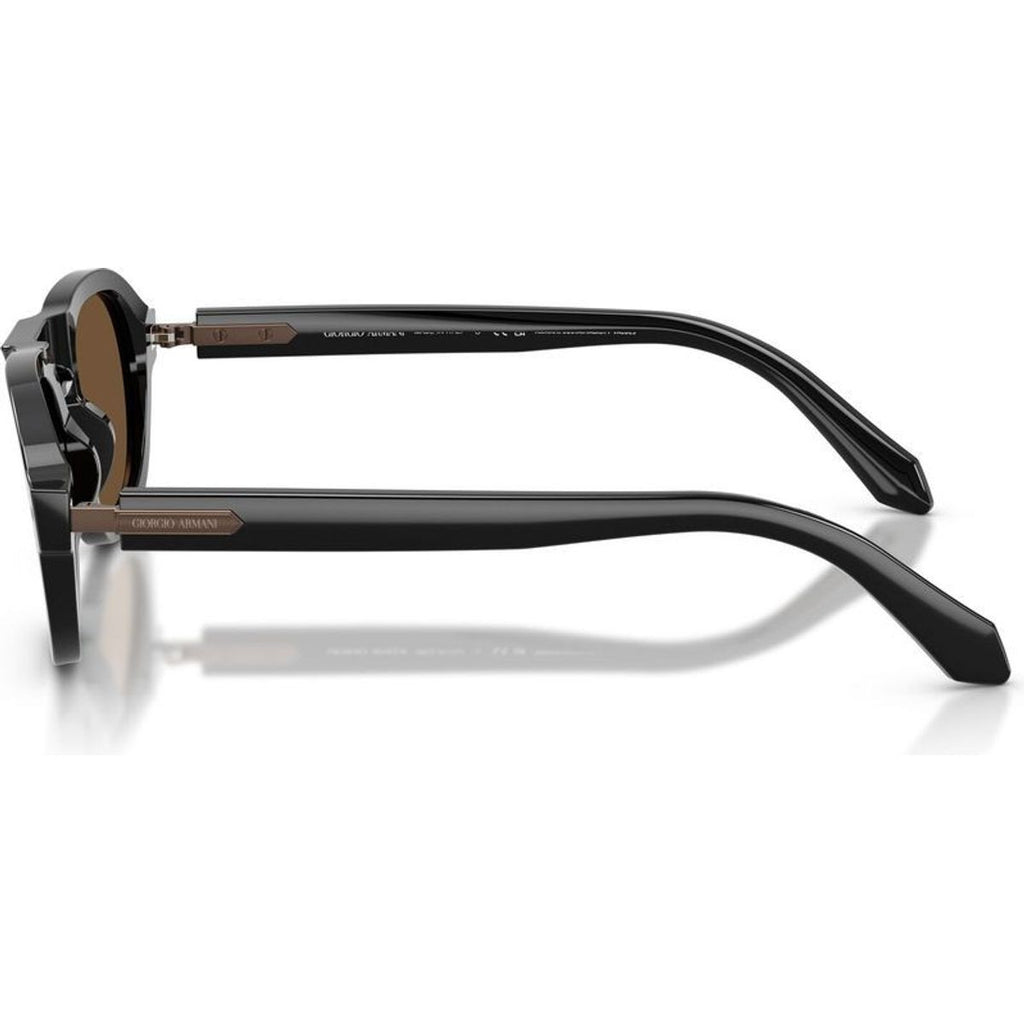 AR8244F, Black/Dark Brown Glass Lenses