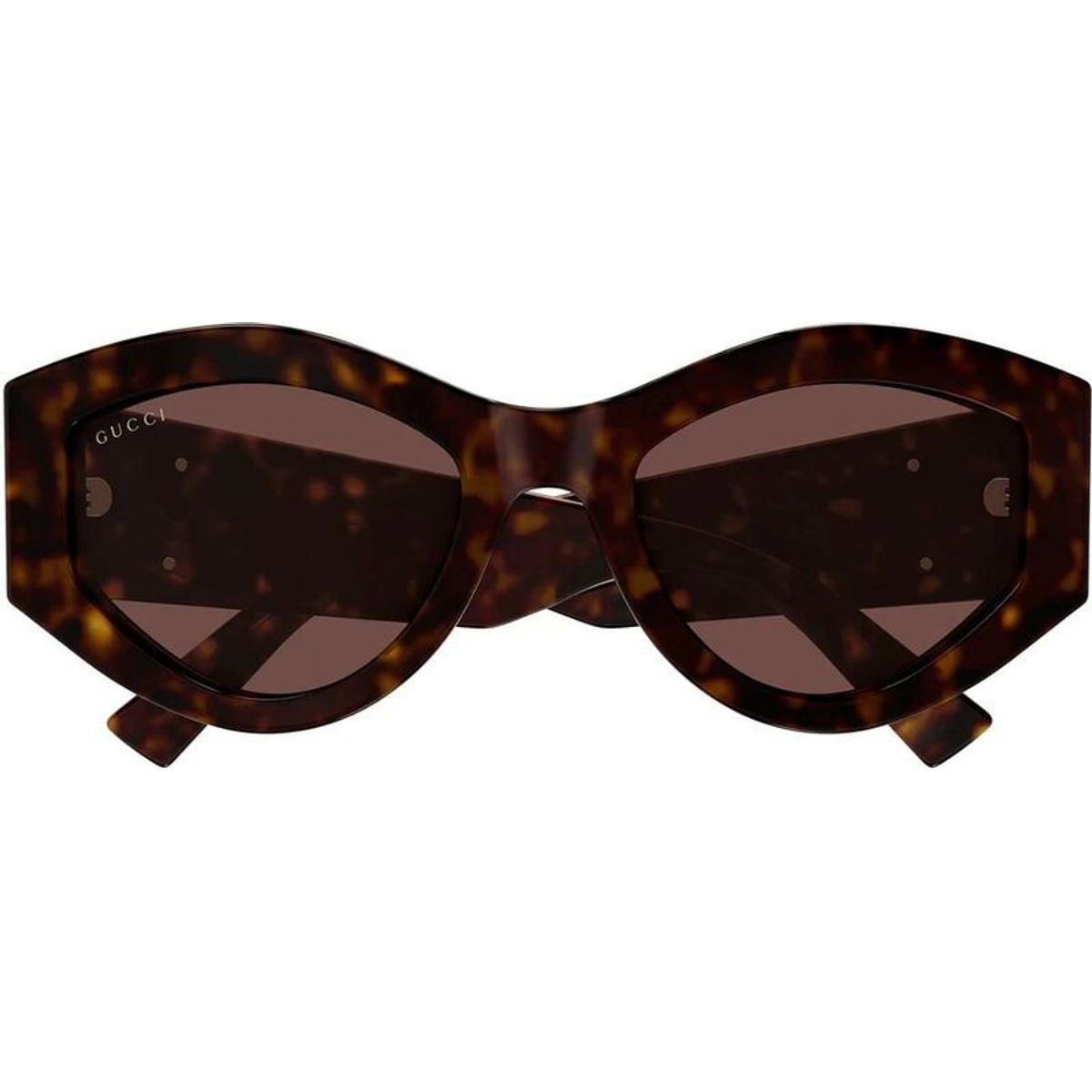 GG1951S, Havana/Brown Lenses