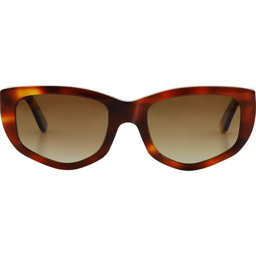 Poet, Tea Tort/Brown Polarised Lenses