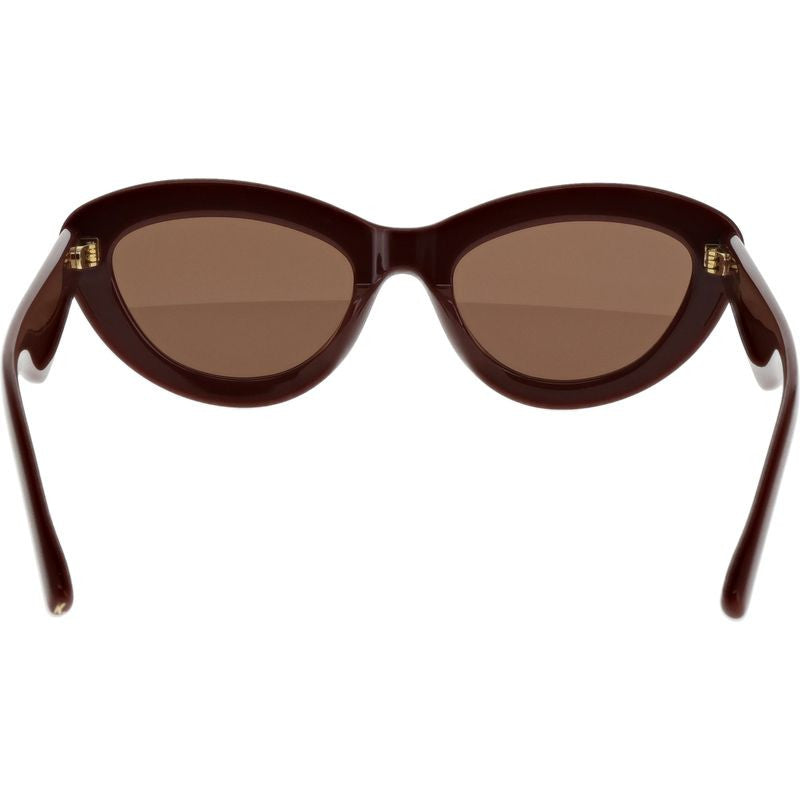 Jay, Brown/Brown Lenses