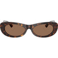 JC5038BU, Havana/Dark Brown Lenses