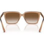 JC5051, Transparent Tan/Brown Gradient Lenses