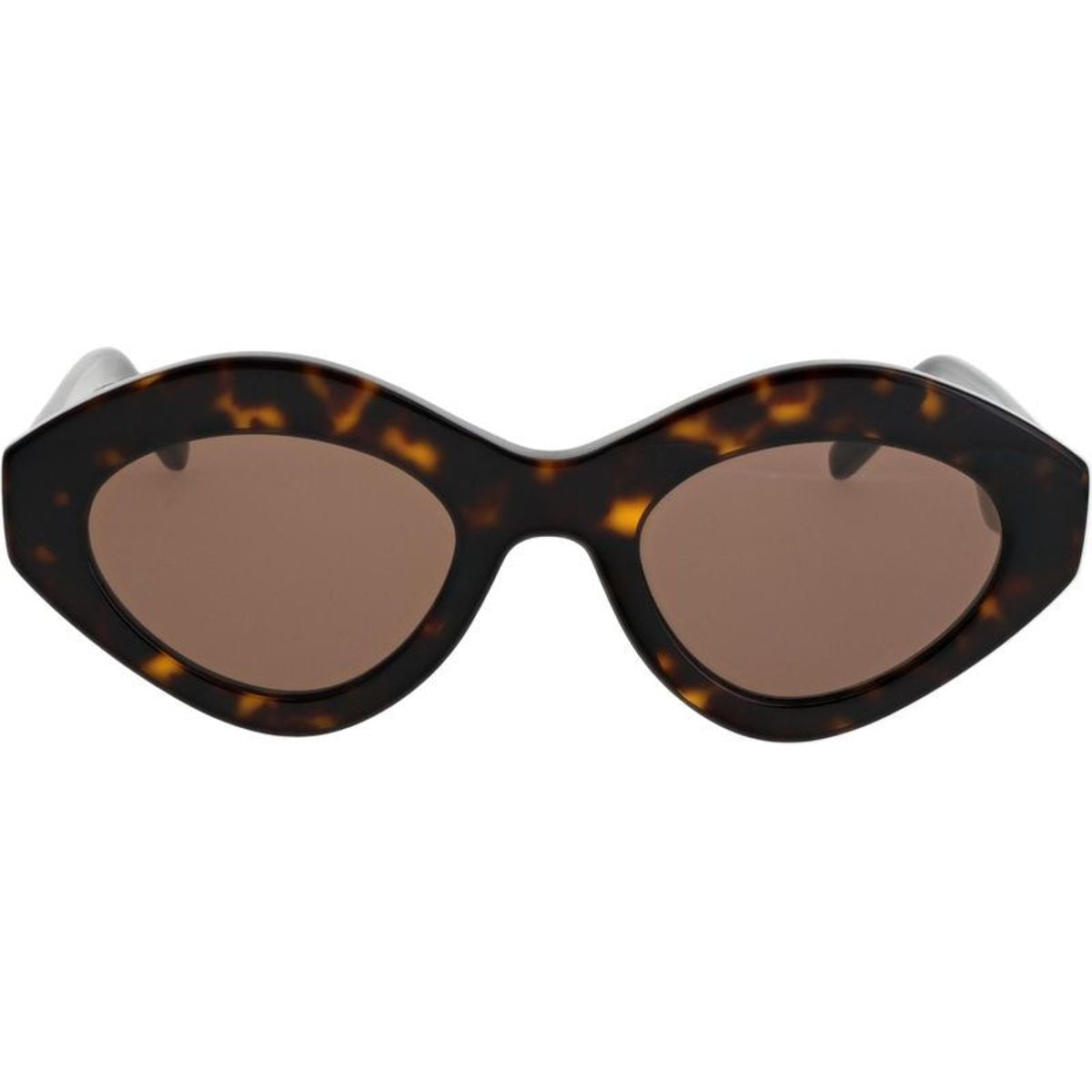 Ailes, Dark Brown Havana/Brown Lenses