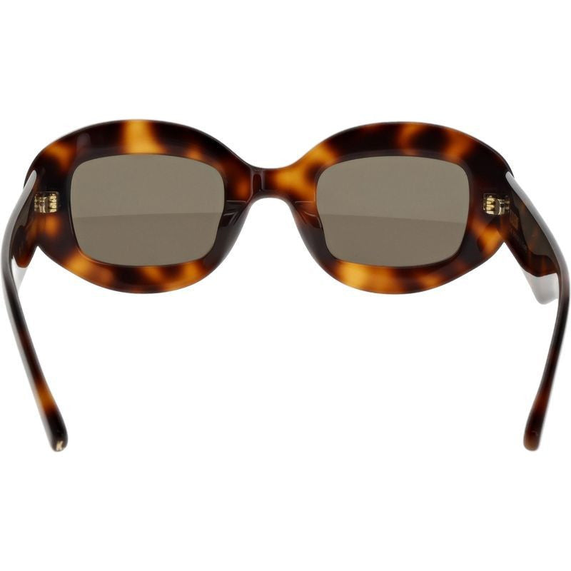 Carlson, Dark Brown Havana/Brown Lenses