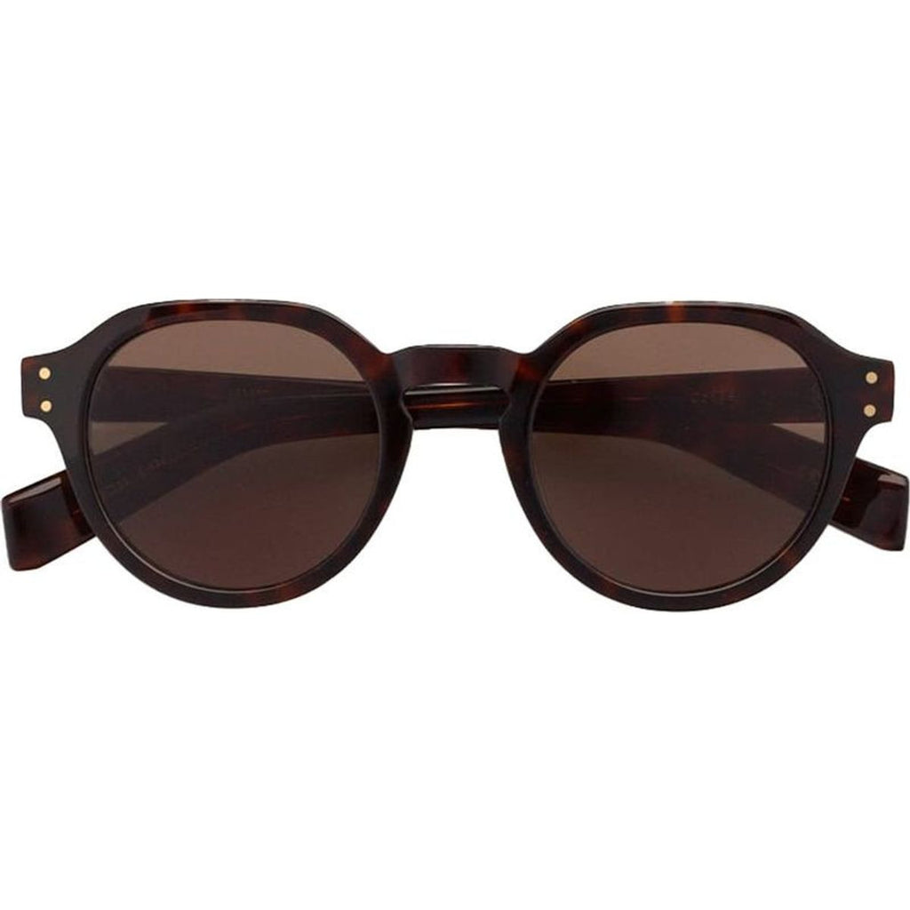 Cooper, Brown/Grey Lenses